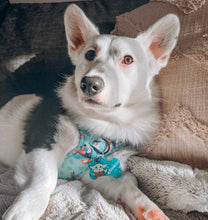 Load image into Gallery viewer, The Child Tag