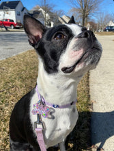 Load image into Gallery viewer, Holographic Flower Power