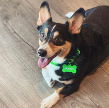 Load image into Gallery viewer, Glitter Collection