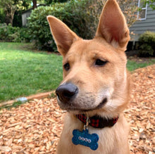 Load image into Gallery viewer, Glitter Collection