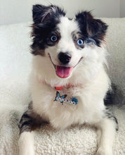 Load image into Gallery viewer, Blue Butterfly Tag