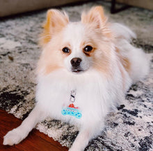 Load image into Gallery viewer, Shark Attack Tag