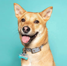 Load image into Gallery viewer, Cupid's Collection