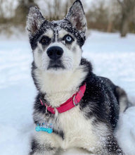 Load image into Gallery viewer, Cupid's Collection