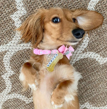 Load image into Gallery viewer, Golden Star Tag